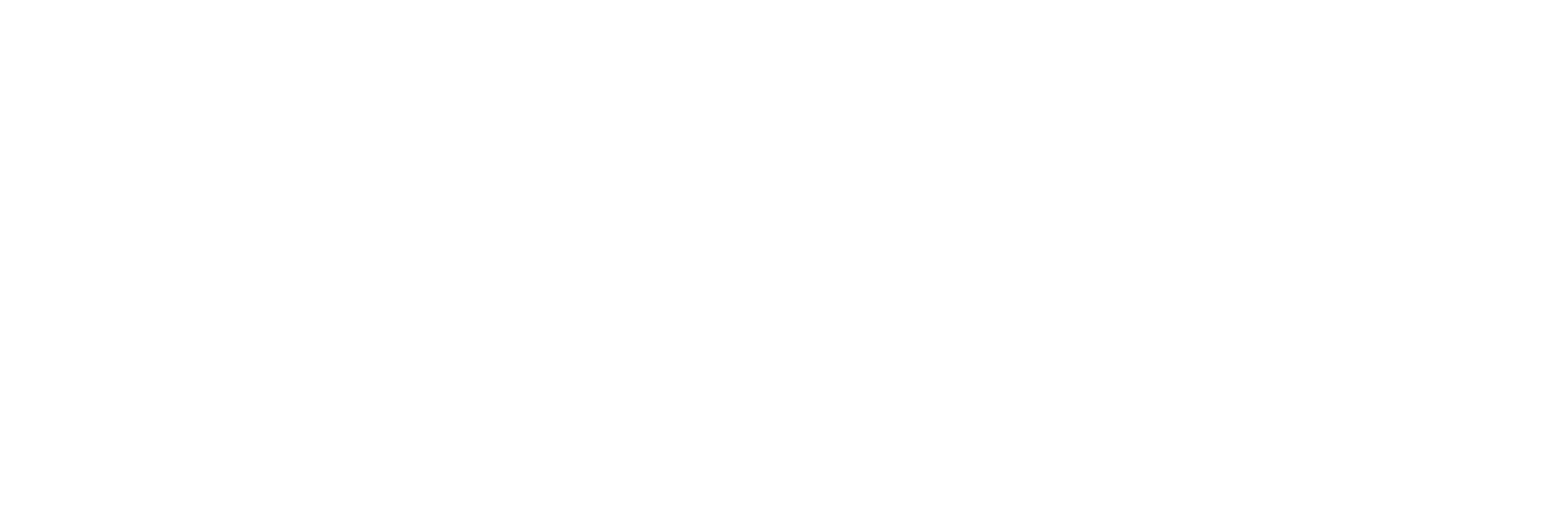 Texas Nurses Association